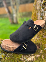 Mule Livia