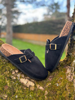 Mule Livia